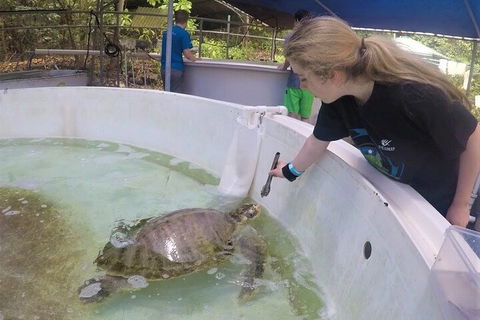 12-Day Great Barrier Reef Marine Conservation Program From Cairns - Attractions Brisbane 4