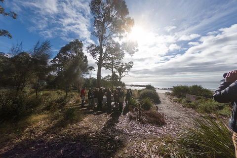 Bruny Island Day Tour, Includes Lunch And Exclusive Lighthouse Tour - Attractions Brisbane 5