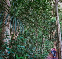 Atherton Tablelands Rain Forest by Night from Cairns - Attractions Brisbane