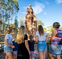 Litchfield National Park Waterfalls and Wildlife Tour from Darwin - Attractions Brisbane