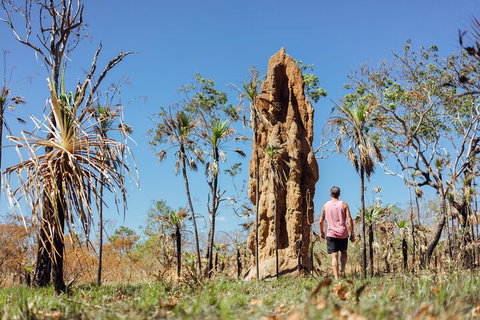 Litchfield National Park Waterfalls And Wildlife Tour From Darwin - Attractions Brisbane 4