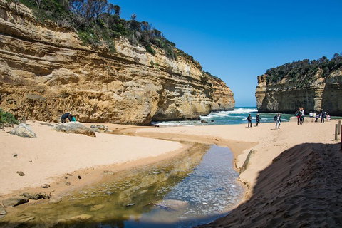 Great Ocean Road And 12 Apostles Day Trip From Melbourne - Attractions Brisbane 2
