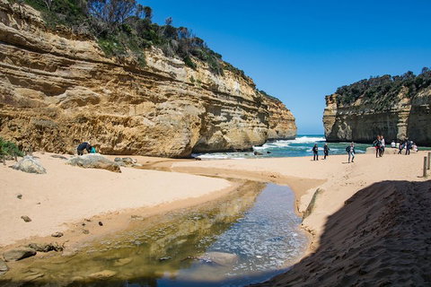 Great Ocean Road Reverse Itinerary With 12 Apostles From Melbourne - Attractions Brisbane 2
