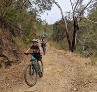 Mount Lofty Descent Bike Tour from Adelaide - Attractions Brisbane