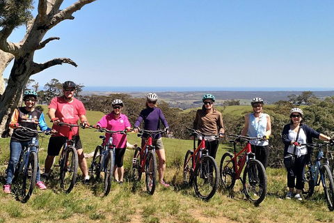 McLaren Vale Wine Tour By Bike - Attractions Brisbane 2