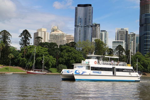 Lone Pine Koala Sanctuary Admission With Brisbane River Cruise - Attractions Brisbane 2