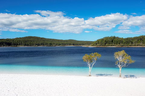 All-Inclusive Fraser Island Day Tour - Attractions Brisbane 3