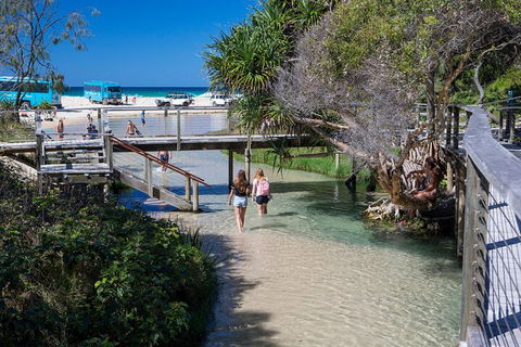All-Inclusive Fraser Island Day Tour - Attractions Brisbane 4