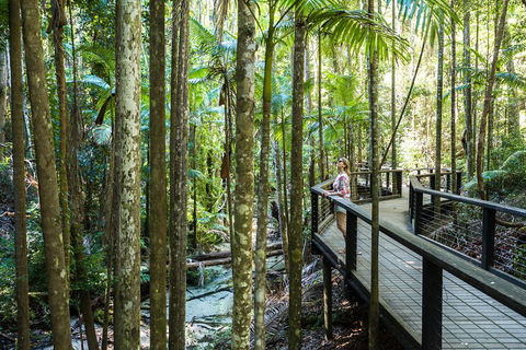 All-Inclusive Fraser Island Day Tour - Attractions Brisbane 5