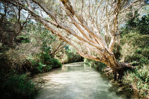 3-Day Fraser Island Resort Package - Attractions Brisbane 5