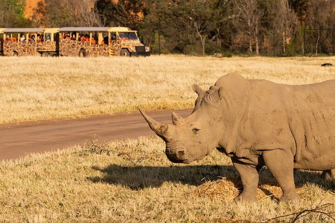 Sunset Safari At Werribee Open Range Zoo - Attractions Brisbane 1