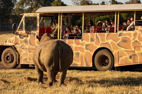 Sunset Safari At Werribee Open Range Zoo - Attractions Brisbane 5