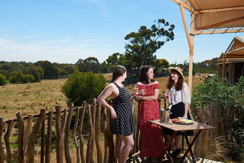 Slumber Safari At Werribee Open Range Zoo - Attractions Brisbane 1