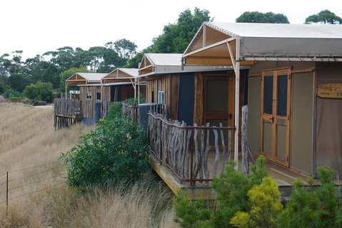 Slumber Safari At Werribee Open Range Zoo - Attractions Brisbane 4
