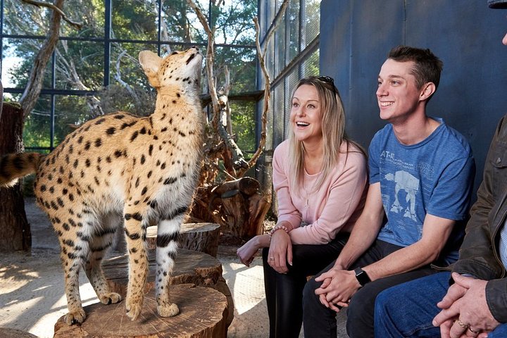  Attractions Brisbane