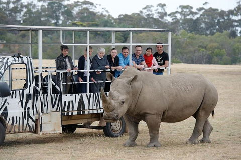 Off-Road Safari At Werribee Open Range Zoo - Attractions Brisbane 0