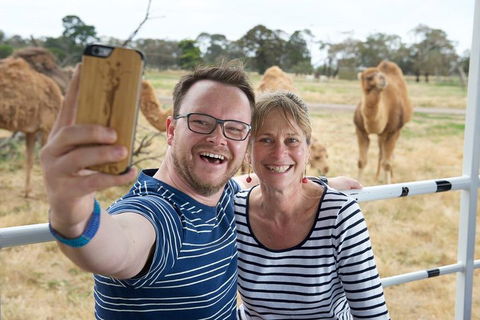 Off-Road Safari At Werribee Open Range Zoo - Attractions Brisbane 1
