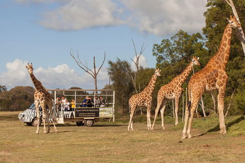 Off-Road Safari At Werribee Open Range Zoo - Attractions Brisbane 3