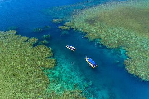 Great Barrier Reef Scenic Flight And Ocean Rafting Whitehaven Beach Day Trip - Attractions Brisbane 4