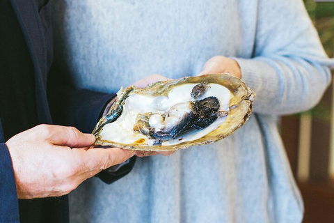 Half-Day Willie Creek Pearl Farm Tour With Helicopter Flight - Attractions Brisbane 3