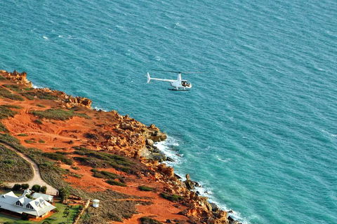Half-Day Willie Creek Pearl Farm Tour With Helicopter Flight - Attractions Brisbane 4