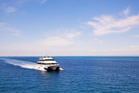 Tangalooma Island Resort Whale Watching Day Cruise - Attractions Brisbane 5