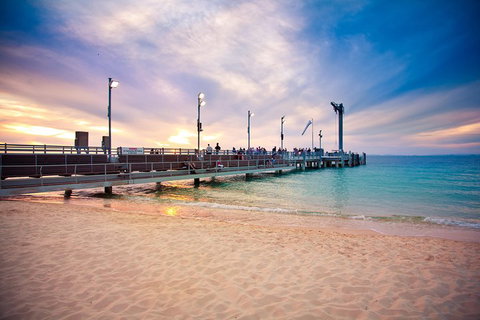 Tangalooma Island Resort Whale Watching Day Cruise With Dolphin Viewing - Attractions Brisbane 3