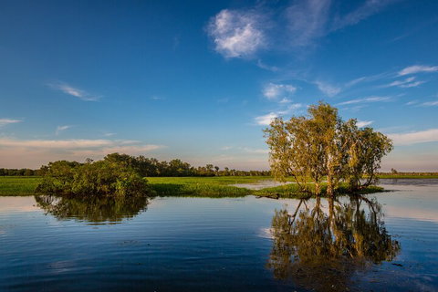 Darwin To Kakadu Day Trip By Air Including Yellow Water Cruise - Attractions Brisbane 5