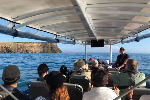 Julian Rocks Byron Bay Cruise - Attractions Brisbane 4