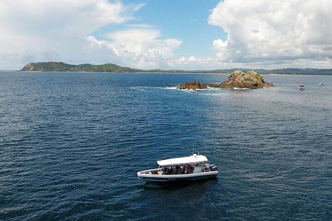 Julian Rocks Byron Bay Cruise - Attractions Brisbane 5