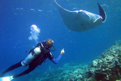 3 Day Whitsundays Sailing And Diving Adventure: Kiana - Attractions Brisbane 3