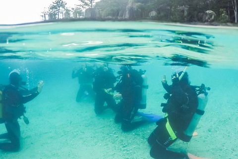 3 Day Whitsundays Sailing And Diving Adventure: Kiana - Attractions Brisbane 4