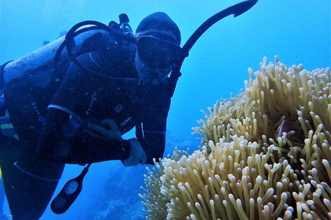3 Day Whitsundays Sailing And Diving Adventure: Kiana - Attractions Brisbane 5