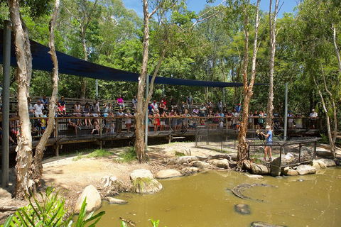 Hartley's Crocodile Adventures Breakfast With The Koalas - Attractions Brisbane 1