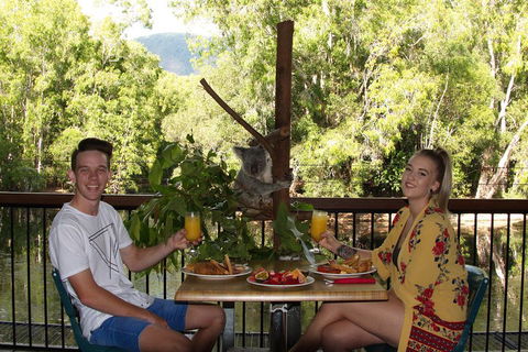 Hartley's Crocodile Adventures Breakfast With The Koalas - Attractions Brisbane 5
