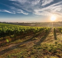 Perth to Margaret River Wine Tour - 2 Day Premium Boutique Wine Tour Experience - Attractions Brisbane