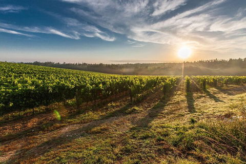 Perth To Margaret River Wine Tour - 2 Day Premium Boutique Wine Tour Experience - Attractions Brisbane 0