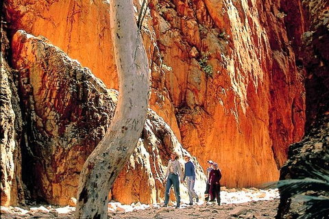 West MacDonnell Ranges Day Trip From Alice Springs - Attractions Brisbane 3