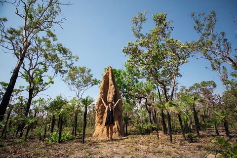 Litchfield National Park - Top End Day Tour From Darwin - Attractions Brisbane 5