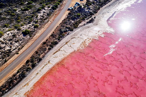 7-Day Exmouth Explorer Via Pinnacles Monkey Mia Ningaloo Reef Returning To Perth - Attractions Brisbane 0
