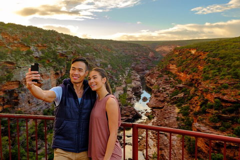 7-Day Exmouth Explorer Via Pinnacles Monkey Mia Ningaloo Reef Returning To Perth - Attractions Brisbane 5