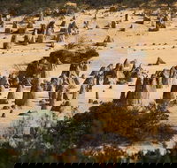 Pinnacles Sunset Dinner and Stargazing Experience a Small Group Tour - Attractions Brisbane