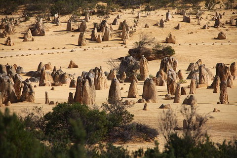 Pinnacles Sunset Dinner And Stargazing Experience A Small Group Tour - Attractions Brisbane 0