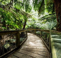 12 Apostles Eco-Friendly Great Ocean Road Iconic Adventure from Melbourne - Attractions Brisbane