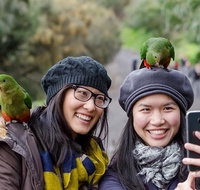 Small-Group Great Ocean Road and 12 Apostles Full-Day Tour from Melbourne - Attractions Brisbane