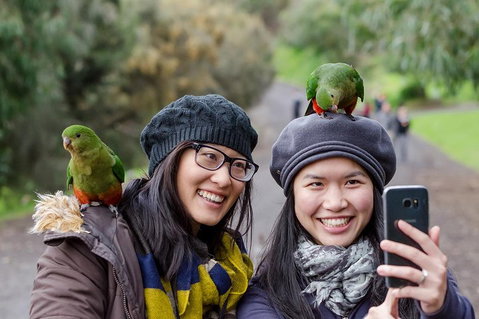 Small-Group Great Ocean Road And 12 Apostles Full-Day Tour From Melbourne - Attractions Brisbane 0