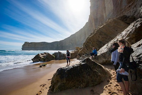 Small-Group Great Ocean Road And 12 Apostles Full-Day Tour From Melbourne - Attractions Brisbane 1