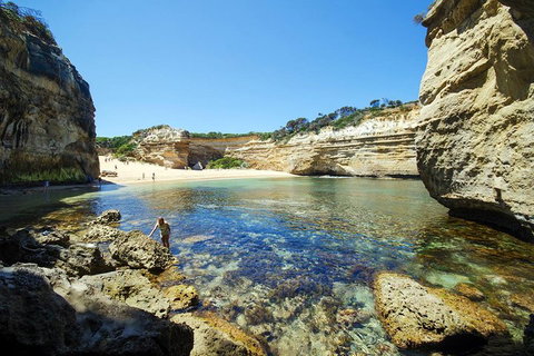 Small-Group Great Ocean Road And 12 Apostles Full-Day Tour From Melbourne - Attractions Brisbane 5