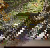 Adelaide Highlights Hahndorf  McLaren Vale Wine Tasting and Sightseeing Tour - Attractions Brisbane