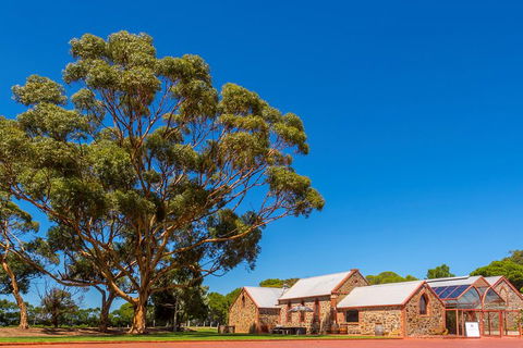 McLaren Vale And Glenelg Wine Tasting And Sightseeing (Half-day Afternoon) - Attractions Brisbane 5